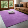 VIKAMA Modern Coral Velvet Carpet Soft Non-Slip Living Room Bedroom Carpet Large Area Children's Play Floor Mat For Home Decor